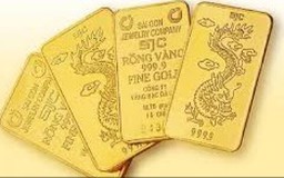 Giá vàng trong nước tăng 1,2 triệu đồng/lượng
