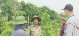 Minh bạch, đảm bảo tối đa quyền lợi người dân trong GPMB