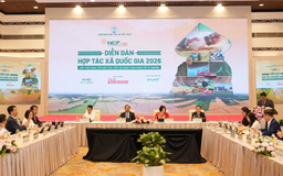 Kết nối hợp tác xã với kinh tế tư nhân