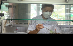 Việt Nam sẽ thí điểm chính sách 'doanh nghiệp một người'