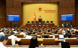 Cần xác định rõ giao dịch bắt buộc công chứng