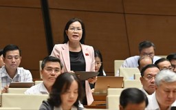 Giao nhiệm vụ chủ trì vụ việc cho cơ quan tư pháp chuyên môn