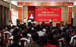 Giá đất đấu giá tại Kiều Phú lập đỉnh hơn 134 triệu đồng/m²