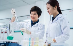 Kết nối trí tuệ Việt Nam toàn cầu trong tiến trình phát triển đất nước