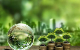 Miễn thuế TNCN từ chuyển nhượng lần đầu tín chỉ carbon và trái phiếu xanh