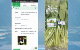 Truy xuất nguồn gốc tại vùng sản xuất rau