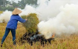 Chấm dứt đốt rơm rạ: Hà Nội siết chặt trách nhiệm địa phương