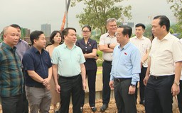 Giám sát triển khai các dự án thoát nước chống úng ngập