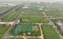 Tháo gỡ khó khăn, 'hồi sinh' dự án Khu đô thị CEOHomes Hana Garden