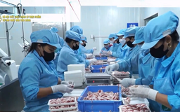Kiểm soát lưu thông, tiêu dùng thực phẩm