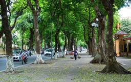 Thời tiết 17/4: Hà Nội thời tiết chuyển mát