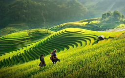 Du lịch xanh - Con đường phát triển bền vững