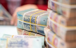Lãi suất ngân hàng hạ nhiệt, ngân hàng Nhà nước hút ròng mạnh