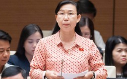 Hoàn thiện cơ chế thí điểm chế định luật sư công