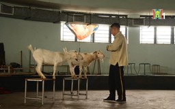 Phía sau ánh đèn sân khấu | Người Hà Nội |21/04/2026
