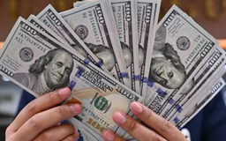 Tỷ giá ngày 23/4: USD và nhiều ngoại tệ giảm nhẹ