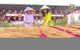 Người phụ nữ đưa tăm hương đi xuất khẩu | Người tốt quanh ta | 23/04/2026