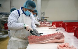 Đưa hoạt động giết mổ vào khuôn khổ, bảo đảm kiểm soát thú y