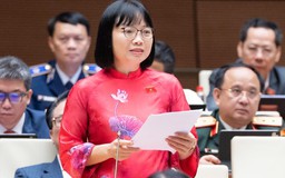 Từng bước tăng thuế với xe điện để tránh 'cú sốc' thị trường