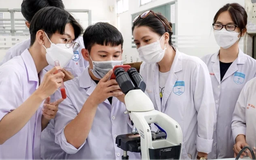 Phát triển nguồn nhân lực theo tinh thần nghị quyết Đại hội XIV - Nền tảng cho khát vọng Việt Nam hùng cường