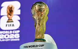Giá vé World Cup 2026 gây tranh cãi