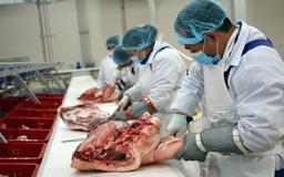 Hà Nội siết chặt kiểm soát giết mổ, đảm bảo ATTP