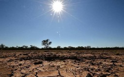 Hiện tượng El Nino có thể quay trở lại vào tháng 5