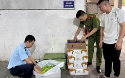 Xử lý vi phạm thực phẩm tại Hà Nội