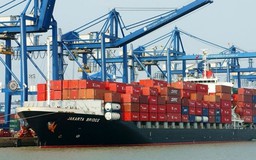 Doanh nghiệp xuất khẩu chủ động ứng phó với biến động thị trường