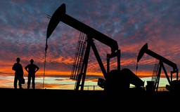 WB dự báo giá năng lượng sẽ tăng 24% trong năm 2026