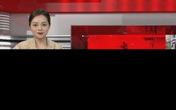 Bản tin 141 | 29/04/2026