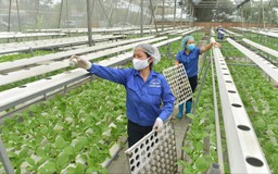 Tư duy mới trong ngành Nông nghiệp Hà Nội