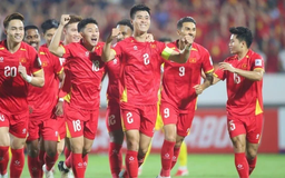 Thứ hạng FIFA của đội tuyển Việt Nam tiếp tục thay đổi