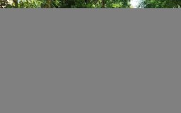 Thời tiết 3/4: Hà Nội ngày nắng, chiều tối có mưa dông