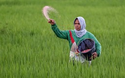 Xung đột Trung Đông đe dọa nguồn cung phân bón của Ấn Độ