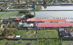 Quốc Oai phát triển các mô hình nông nghiệp thế mạnh | Nông nghiệp nông thôn | 19/03/2026