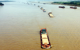 Nhịp sống mới bên sông Hồng