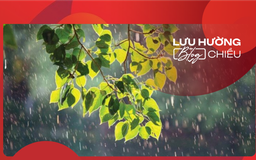 Về với mưa rào mùa hạ