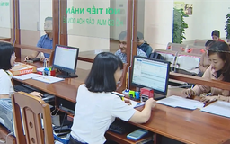 Rà soát hơn 300 doanh nghiệp doanh thu trên 1.000 tỷ đồng