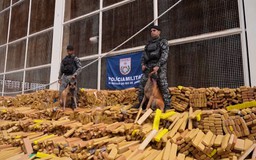 Brazil tịch thu gần 50 tấn cần sa tại khu ổ chuột