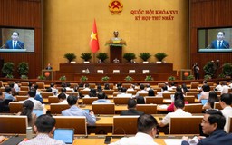 Sửa luật để hệ thống trợ giúp pháp lý chuyên nghiệp, hiện đại
