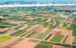 ‘Thay áo’ cho những thửa ruộng