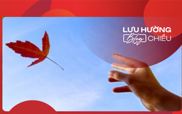 Người đến giữa mơ và thực