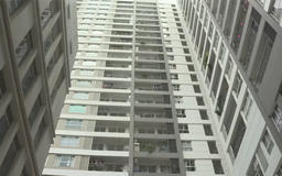TP. Hồ Chí Minh tăng tốc cấp sổ hồng cho 68.000 căn nhà