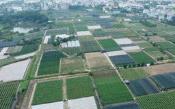Kiên quyết xử lý các dự án không triển khai, 'ôm đất, giữ chỗ'