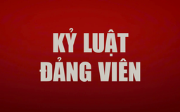 Ban Bí thư xem xét, thi hành kỷ luật đảng viên vi phạm