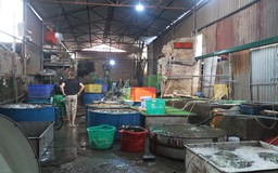 Phường Hoàng Mai đề xuất tháo gỡ 'điểm nghẽn' chợ cá Yên Sở