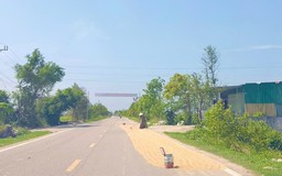 Nguy hiểm từ hành vi phơi thóc trên lòng đường