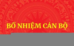 Bổ nhiệm Trợ lý Thủ tướng, Phó Thủ tướng Thường trực Chính phủ