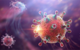 EU tăng cường chia sẻ thông tin nhằm ứng phó với virus Hanta